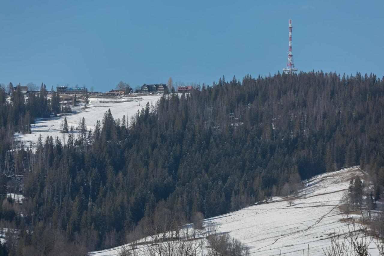 Rent Like Home - Orkana IX Zakopane Kültér fotó
